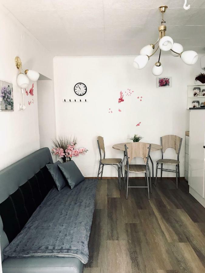 Apartma Evi Zaga Buitenkant foto